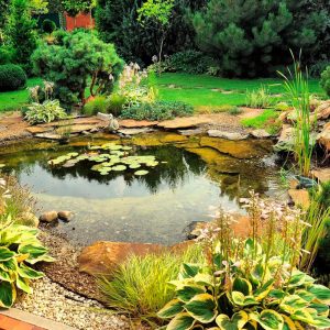 img-solutions-pond
